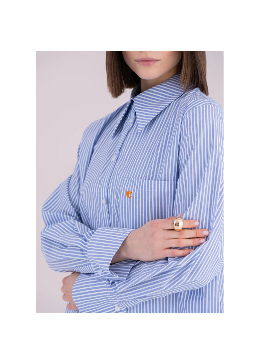 HERON striped shirt - 176110